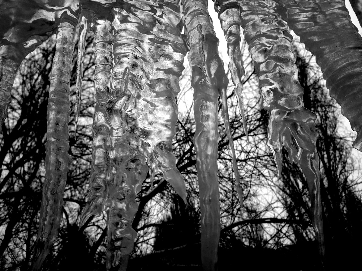 Фото автора от 09.02.26г. Кто там внизу с собачкой гуляет? Прицел "4-ый" этаж!