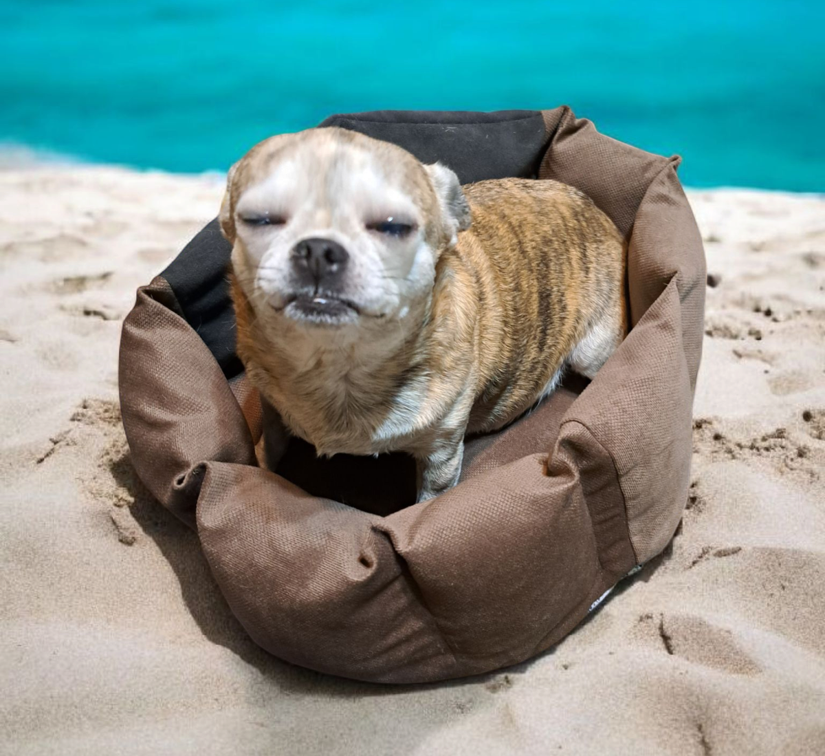 фото обработано автором