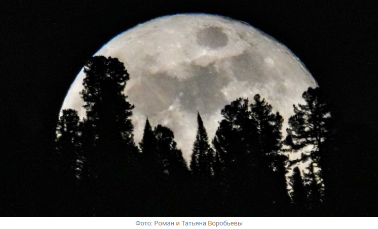 Источник новости: https://nia.eco/2026/02/06/111421/