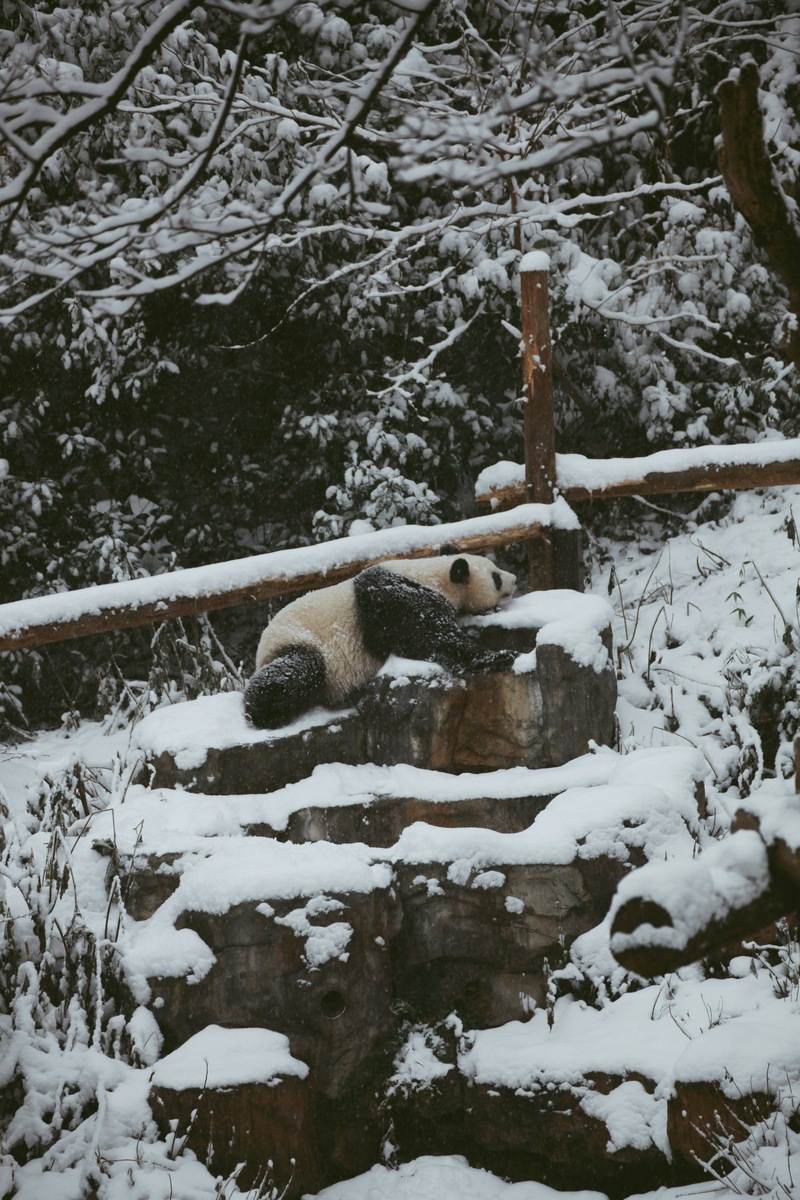    Фото несет иллюстративный характер