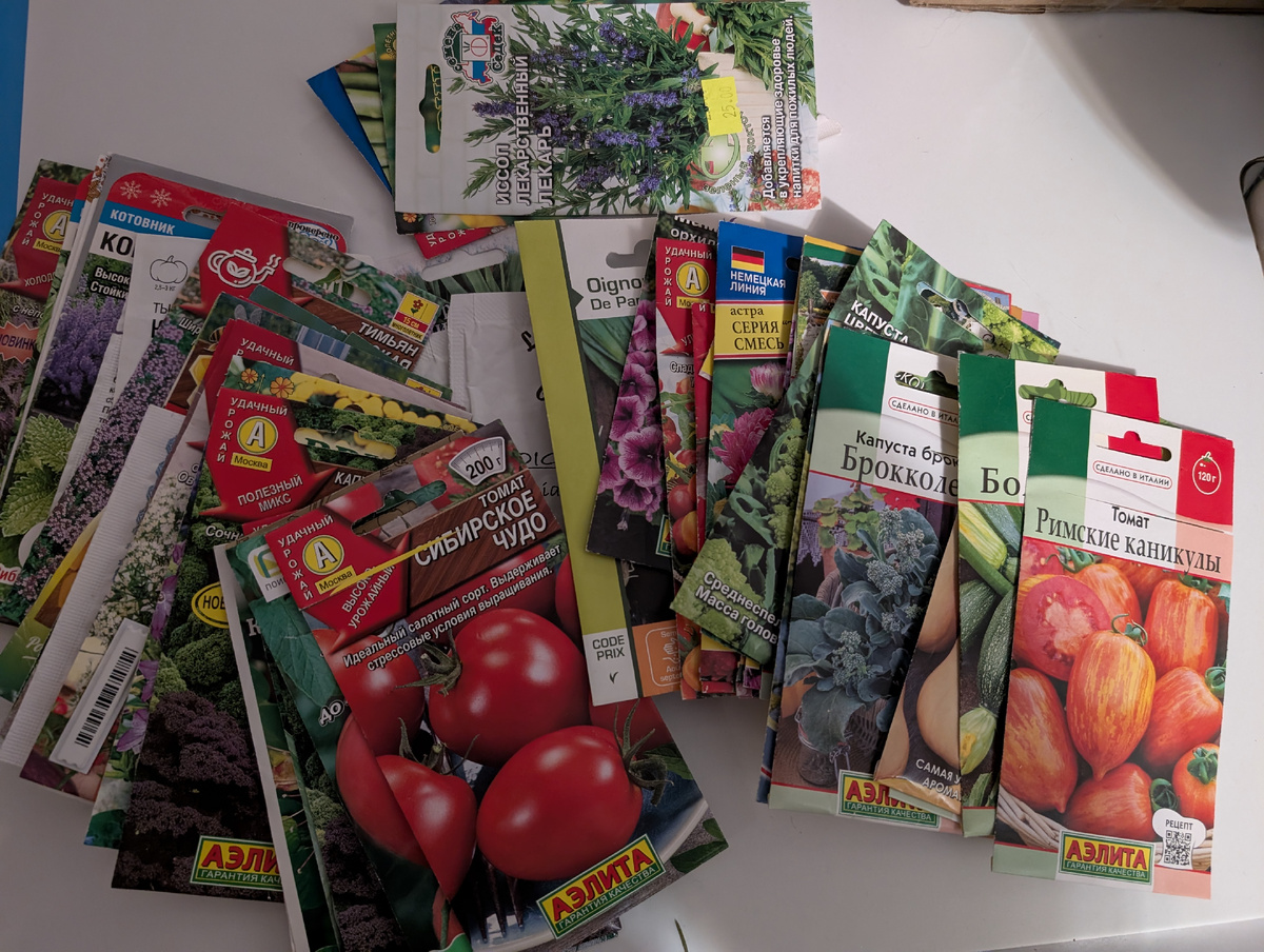 Семена прошлогодние