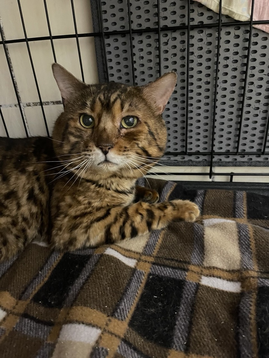 История про меня