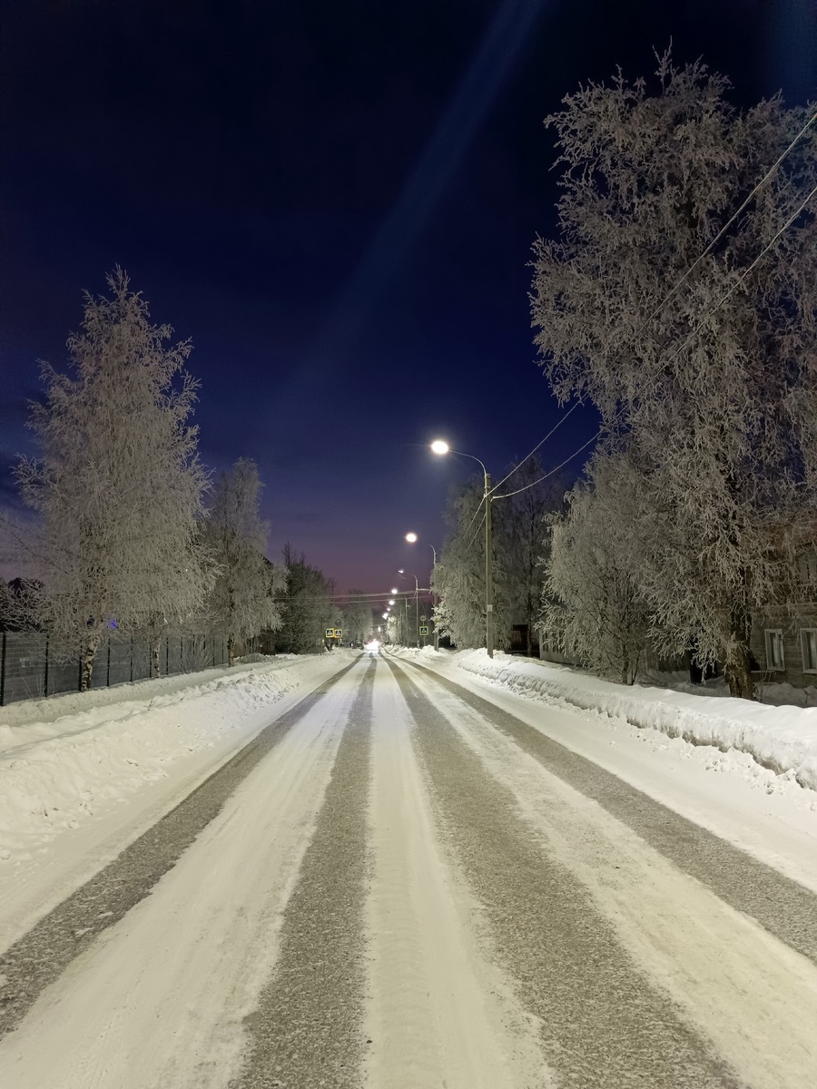 Фото с прогулки.