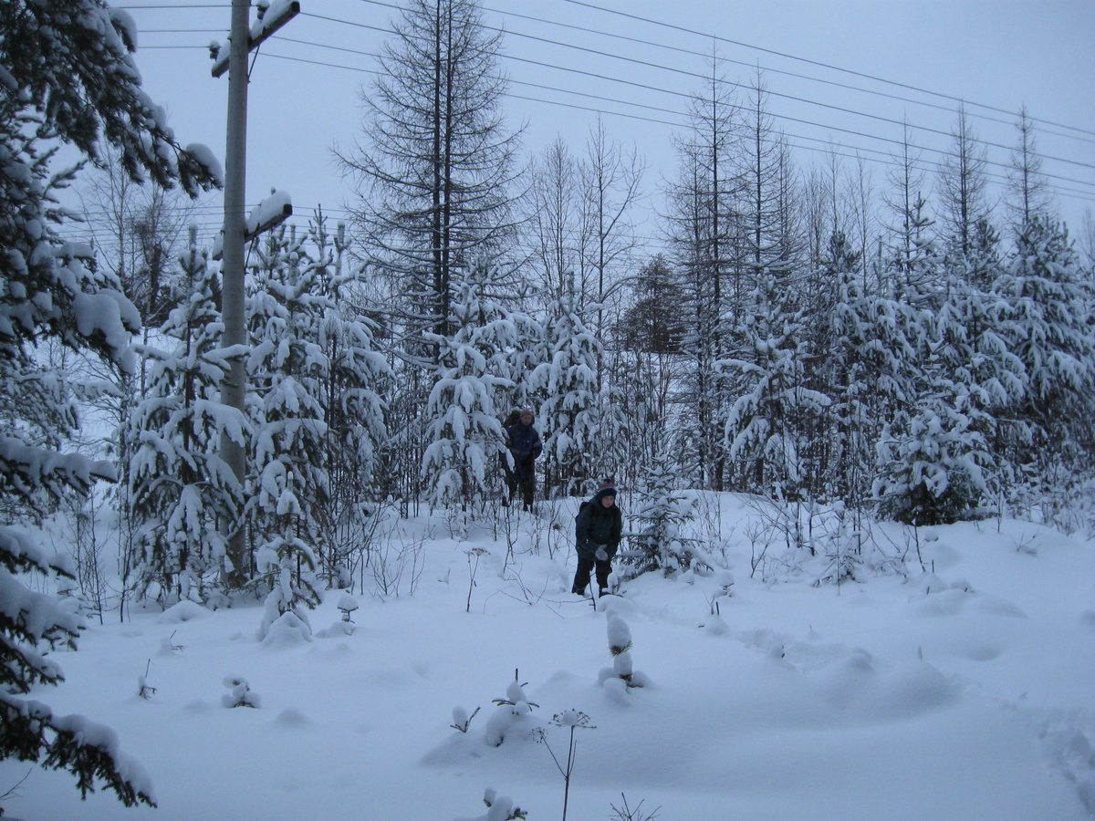 Воскресный семейный поход в тайгу. Мои мальчики.