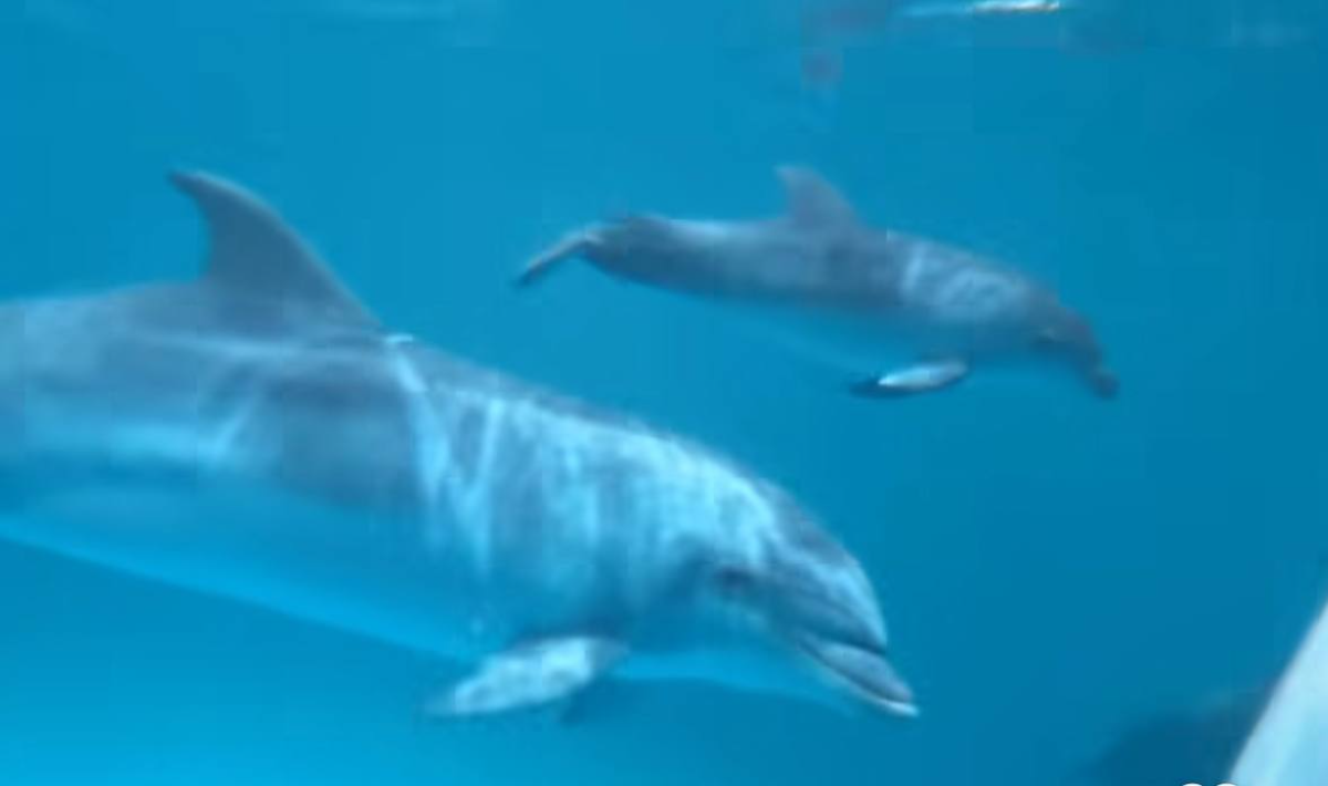    Малыш растет не по дням, а по часам