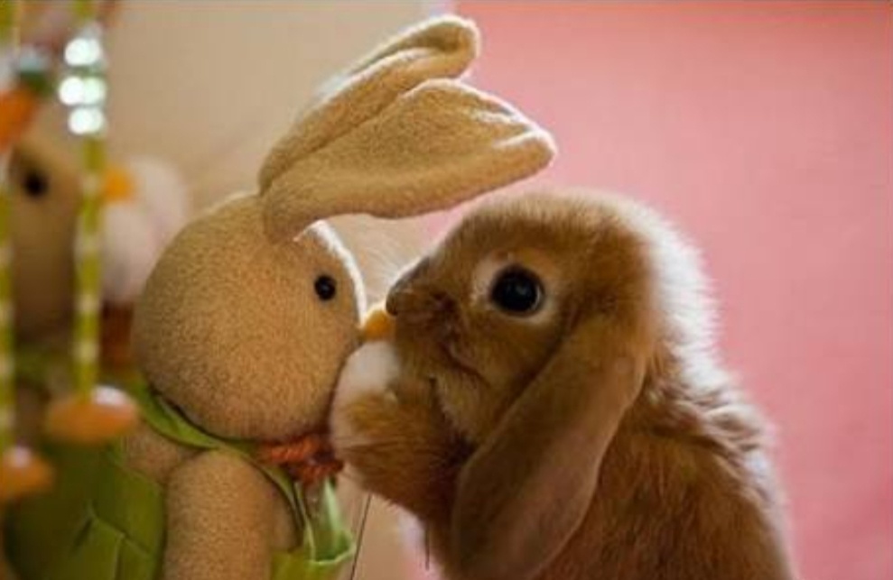 Гугл картинки. 