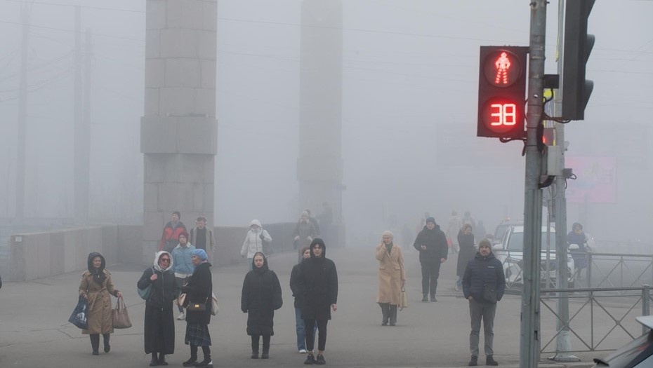 Фото: Сергей Ермохин