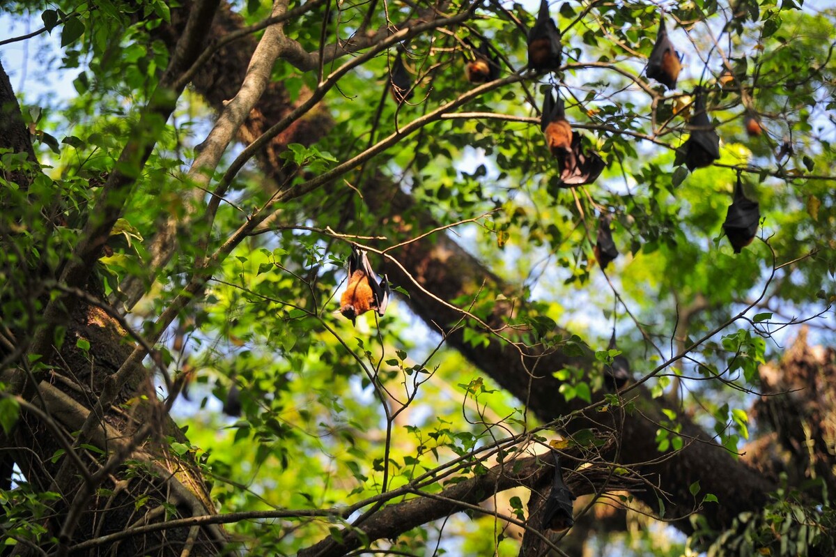     / Источник: © Global Look Press