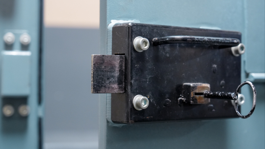    Фото: ИЗВЕСТИЯ/Эдуард Корниенко; 5-tv.ru