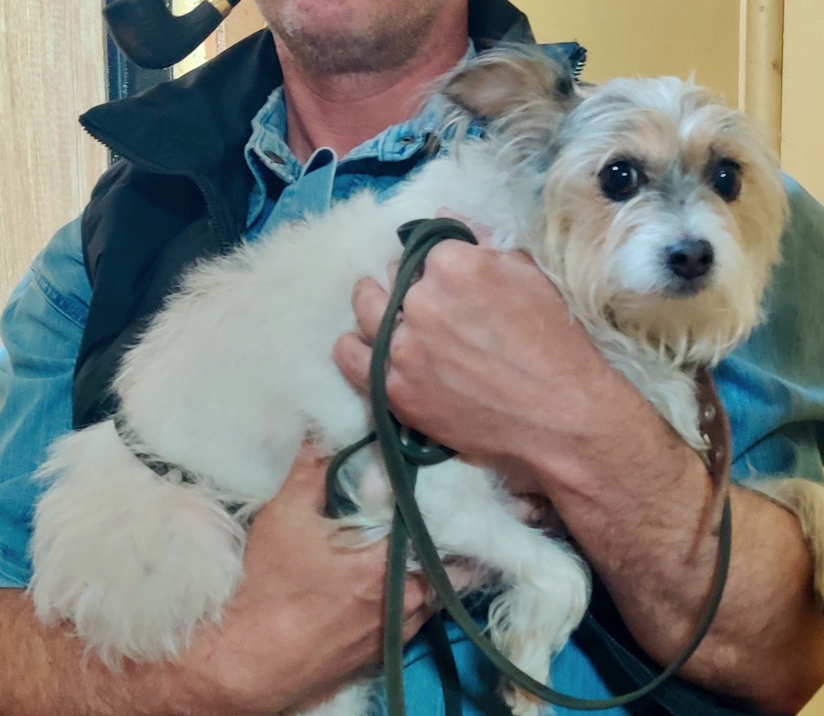 Это тот самый день, когда Соня появилась у нас. Такая испуганная.