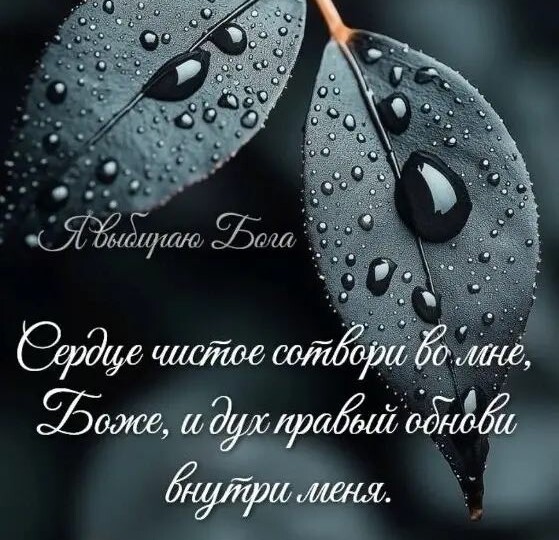 Духовные причины развития онкологических заболеваний. (Часть 2). Духовные причины ЗНО относительно принятой официальной классификации.