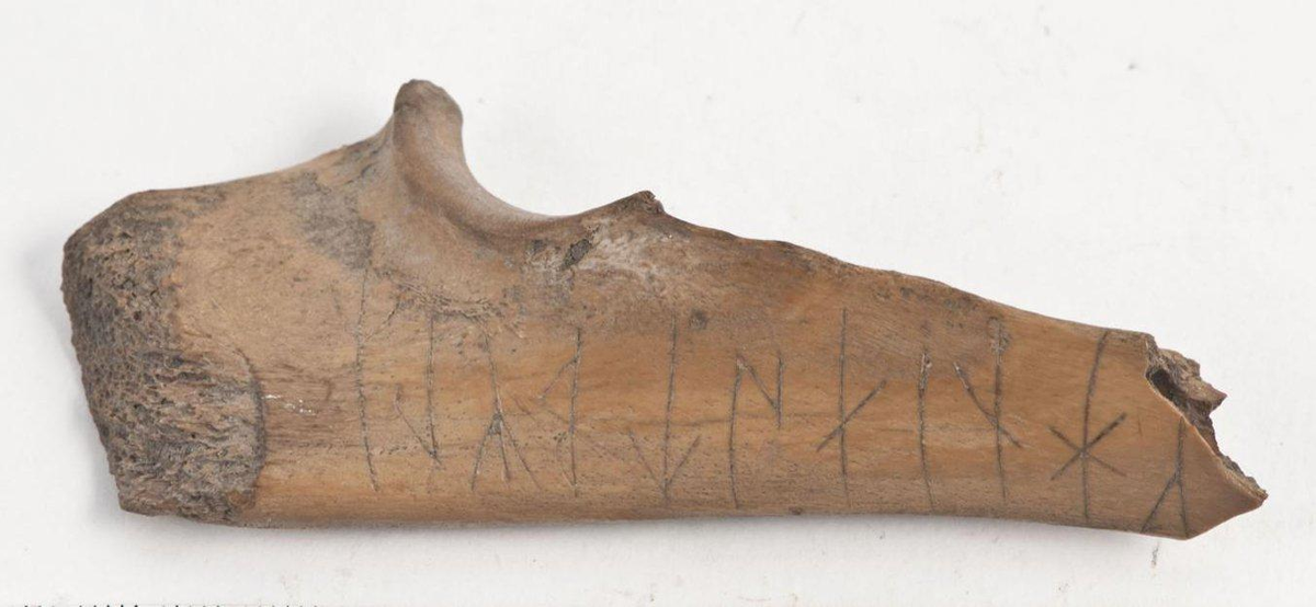 Свиная кость с рунами XI век