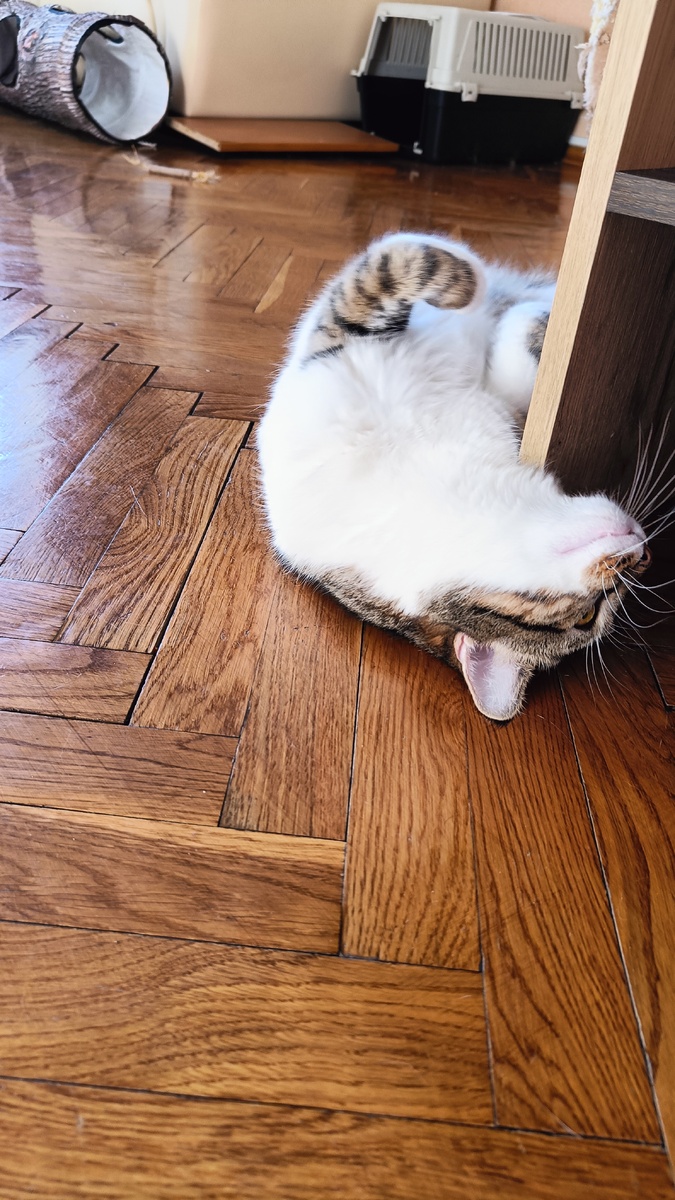 Берег показывает, что Ёжа делала, пока меня не было дома)