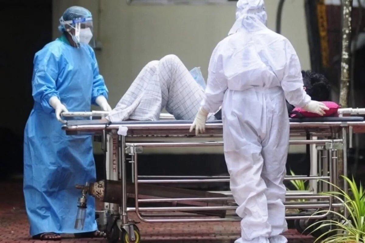    Роспотребнадзор назвал опасными сырые фрукты в странах, где болеют Нипах