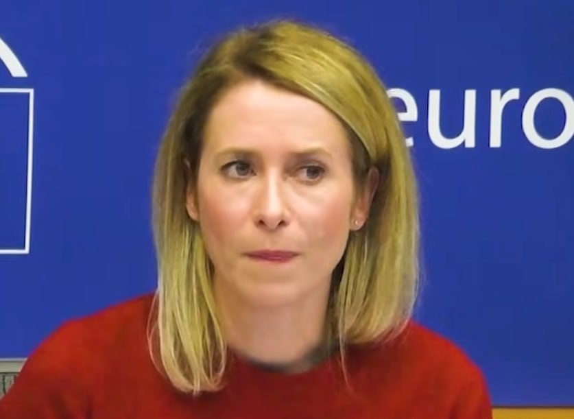 Фото: Prt Scr youtube.com / EU Debates