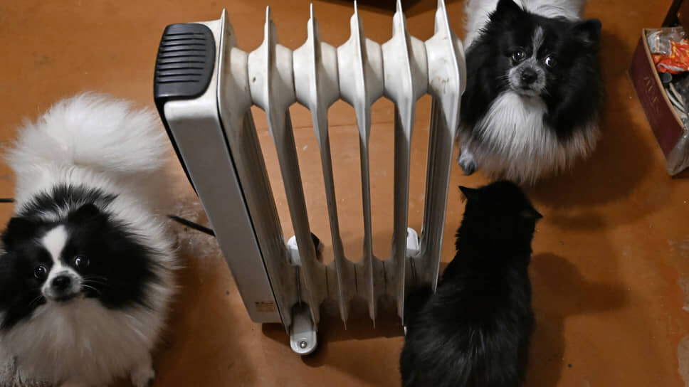 Фото: Анатолий Жданов / Коммерсантъ