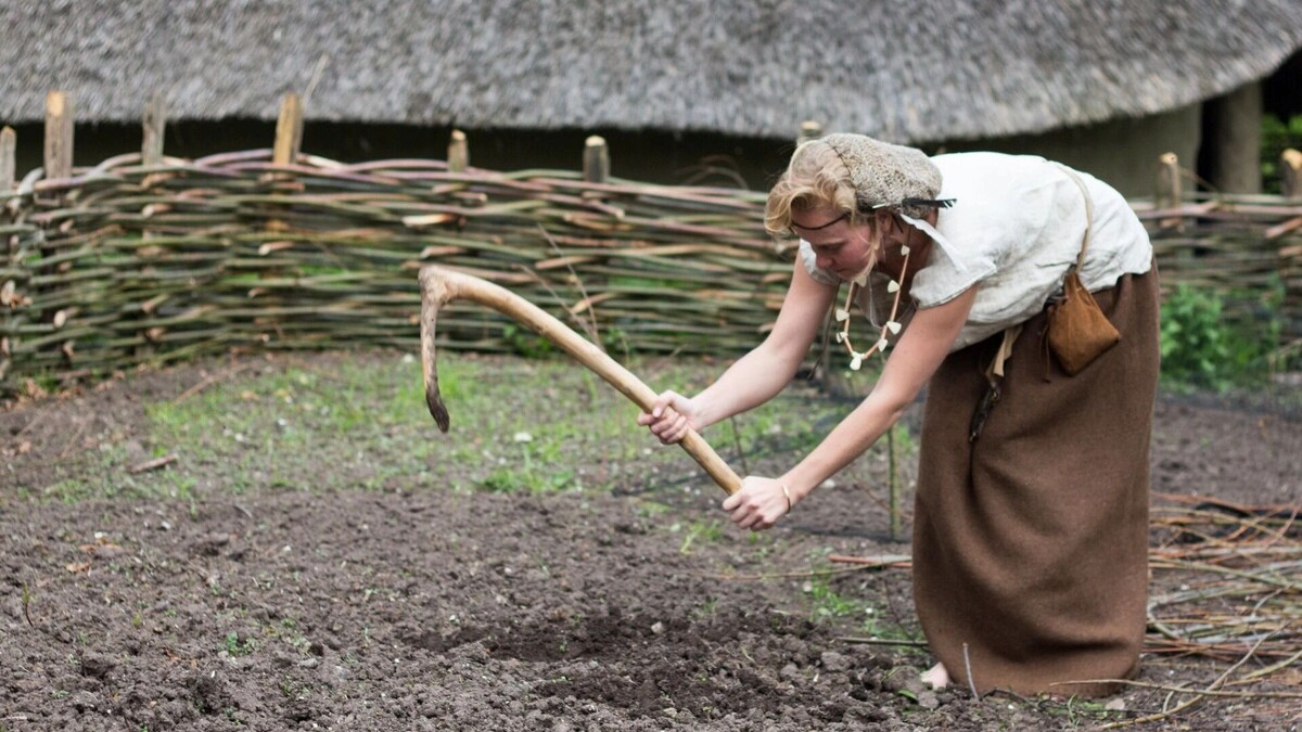    Администрация Ростова утвердила график проведения садово-огородных ярмарок   Hans Splinter/cc by 2.0/flickr.com
