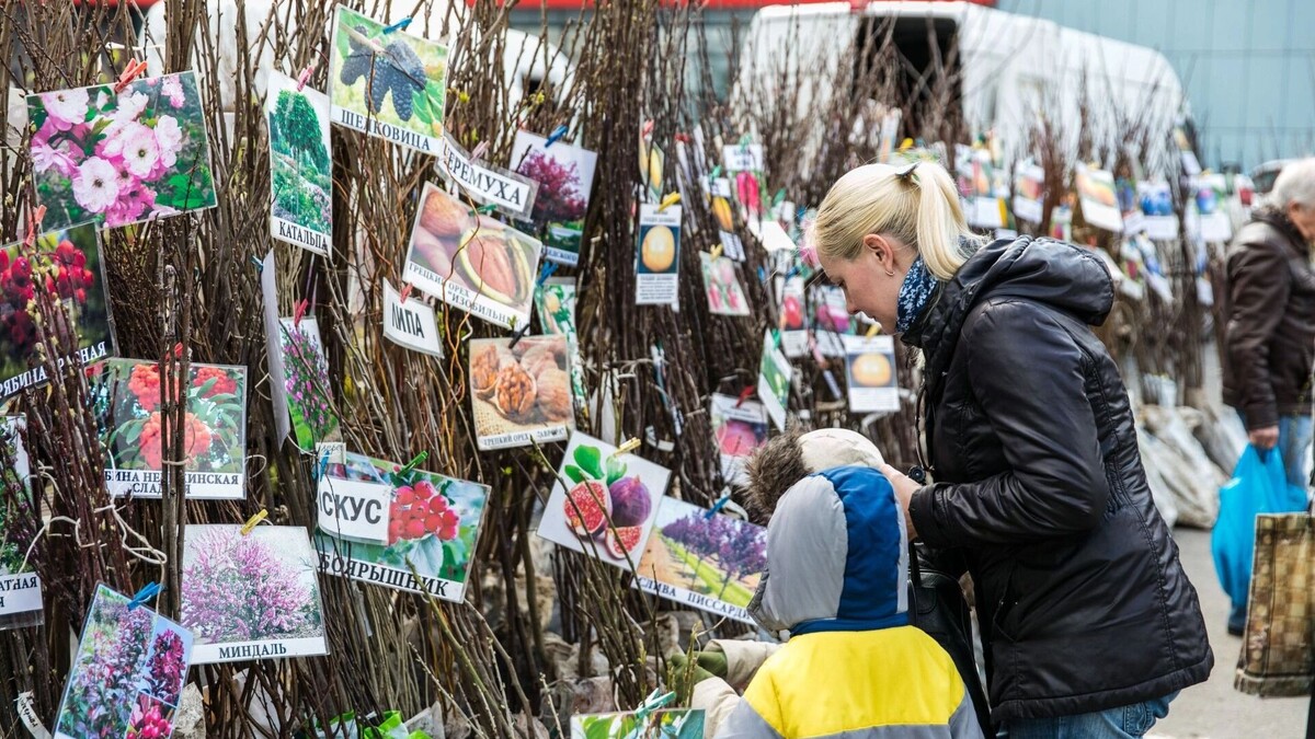    ярмарка   donland.ru