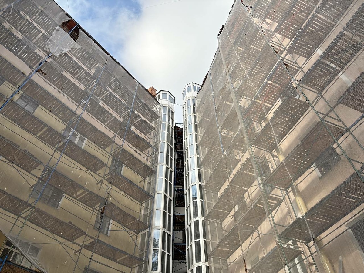 Фото: Neva.Today