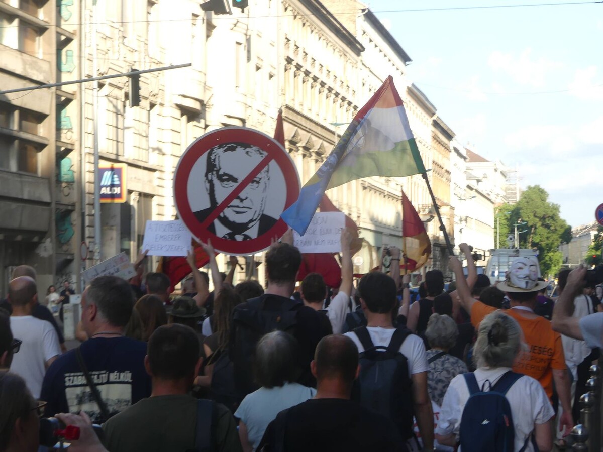     / Источник: © Global Look Press