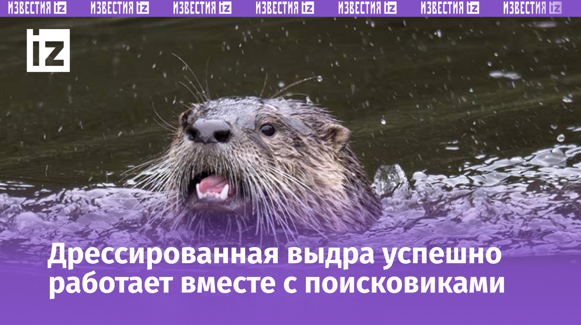 Фото: TASS/Zuma/Robin Loznak