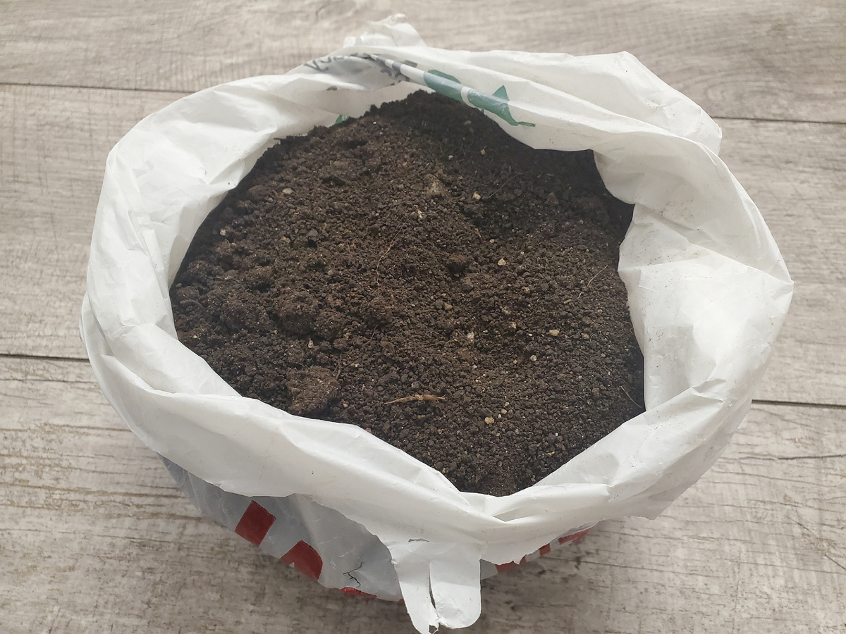 Огородная почва идеально подойдет 