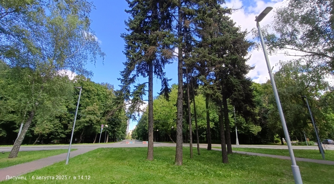 Петровский парк. Фото автора