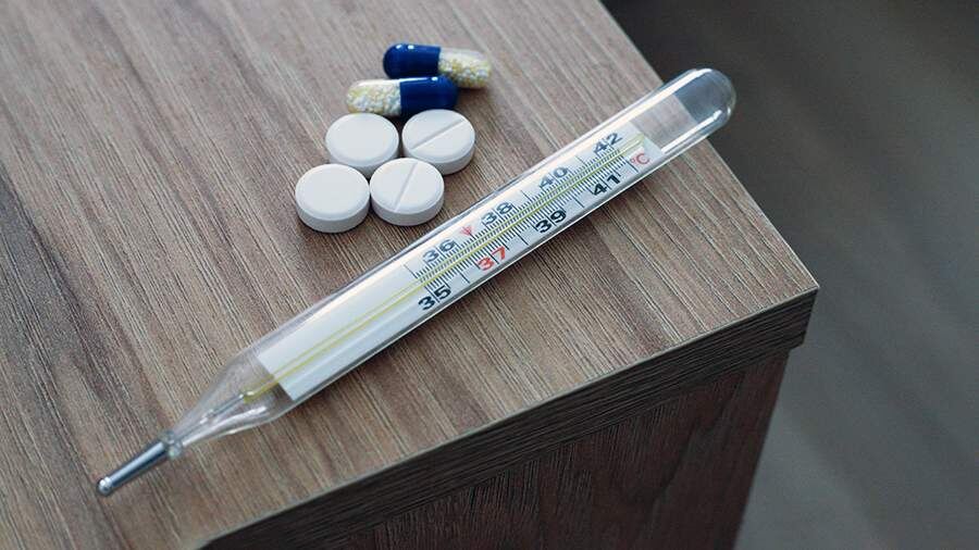    Фото: ИЗВЕСТИЯ/Юлия Майорова