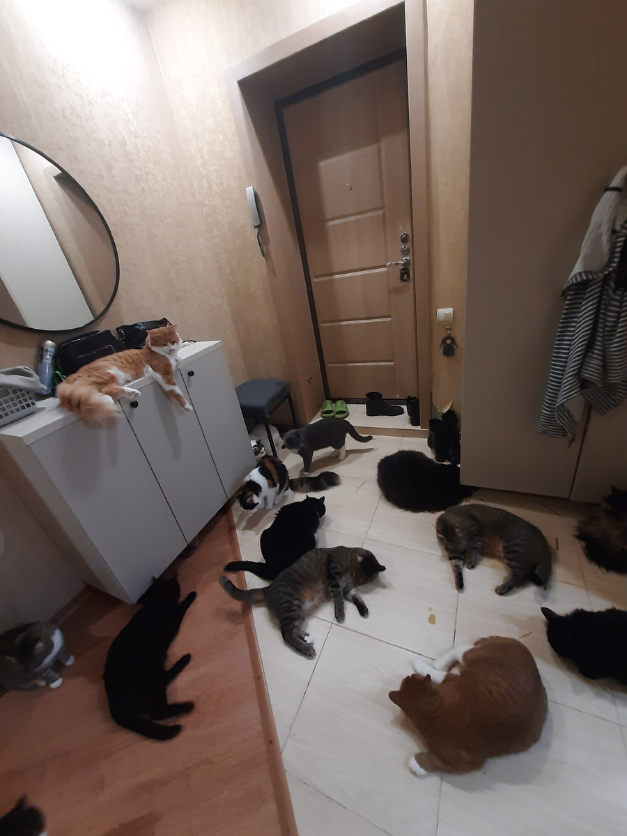 Яша наблюдает свысока