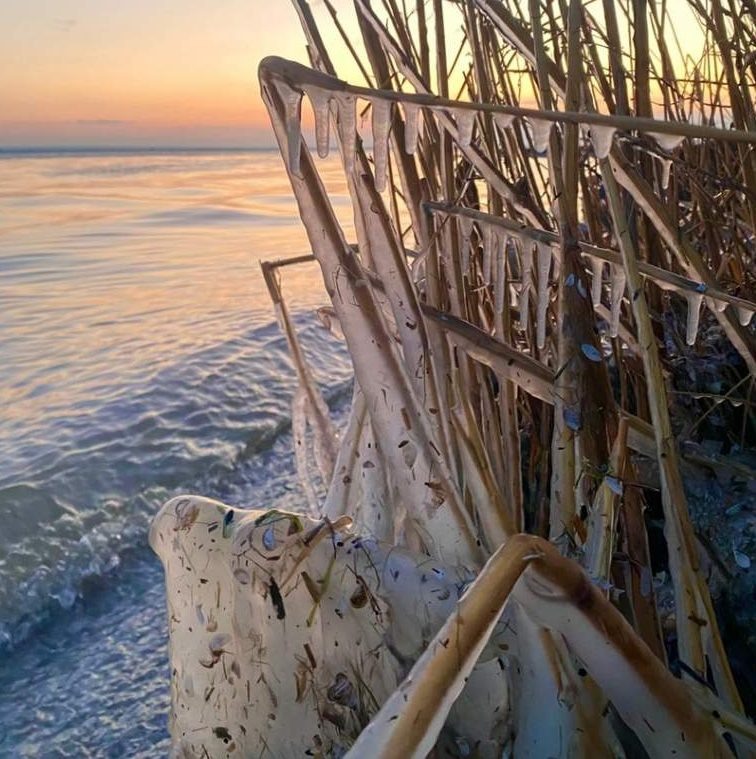    фото: Людмила Сахарчук "Веселовские вести" Веселовские вести