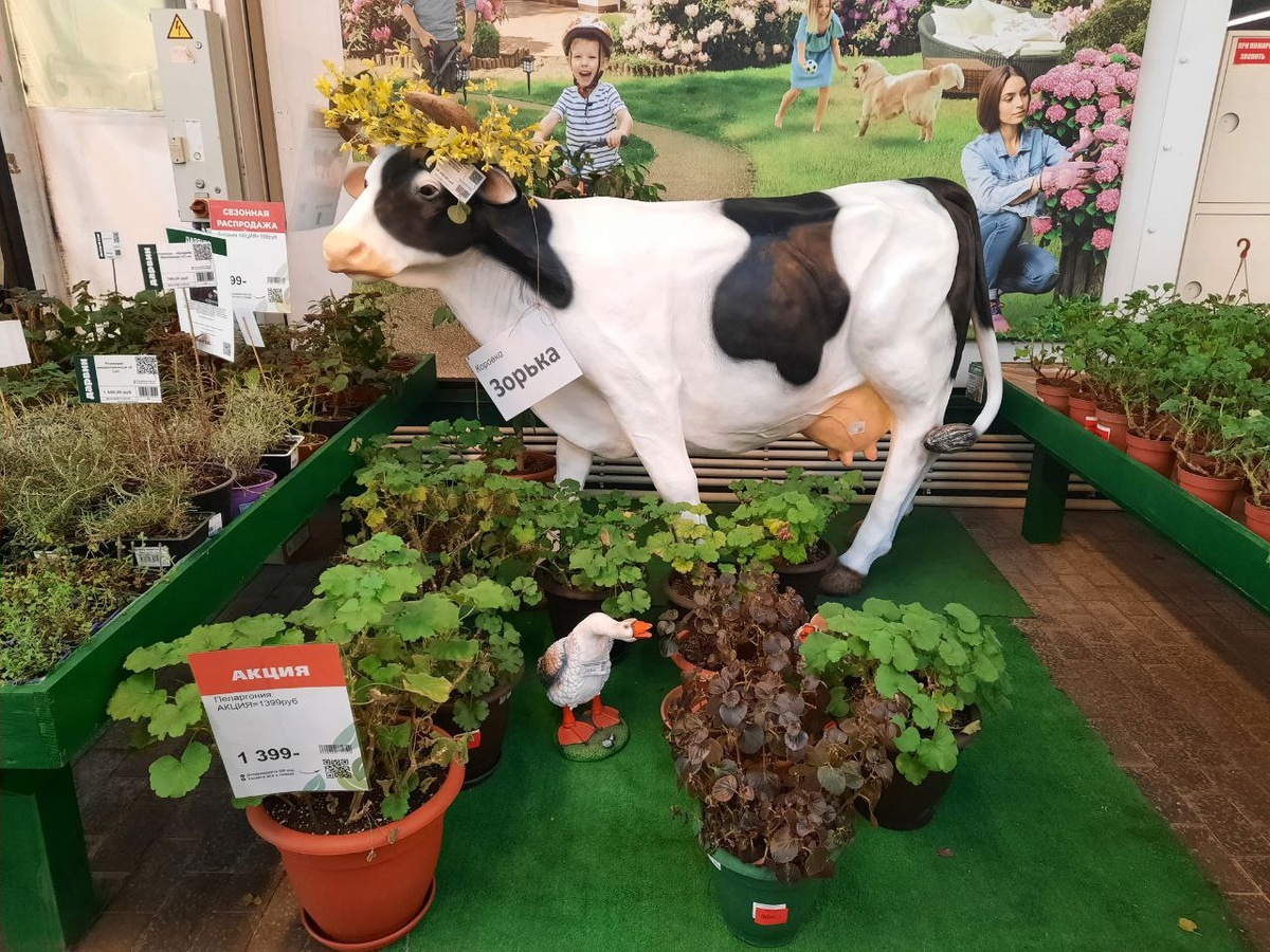 Даже корову купить можно ( если денег хватит )))