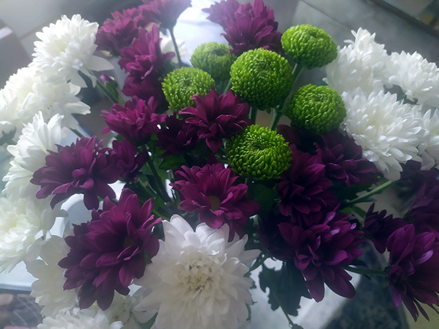 100-летний юбилей отметила в Тверской области ветеран Мария Молотилова