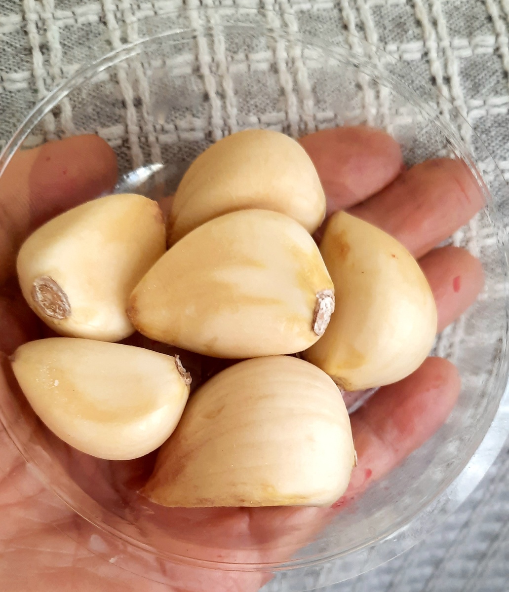 Фото автора. Вот они, первые усыхающие.