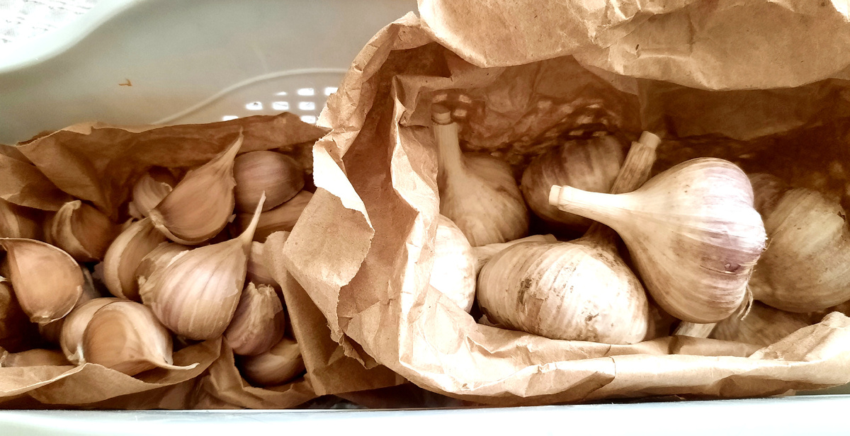 Фото автора.  В "дырявом" контейнере и крафтбумаге  будет в самый раз. 