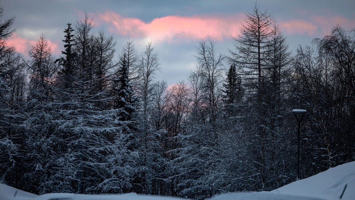    Фото: Сергей Зубков/«Ямал-Медиа»