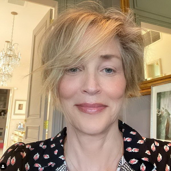     Шэрон Стоун, Бен Мендельсон и Энтони Маки снимутся в комедии «Пошевеливайся» Дэвида Мэмета