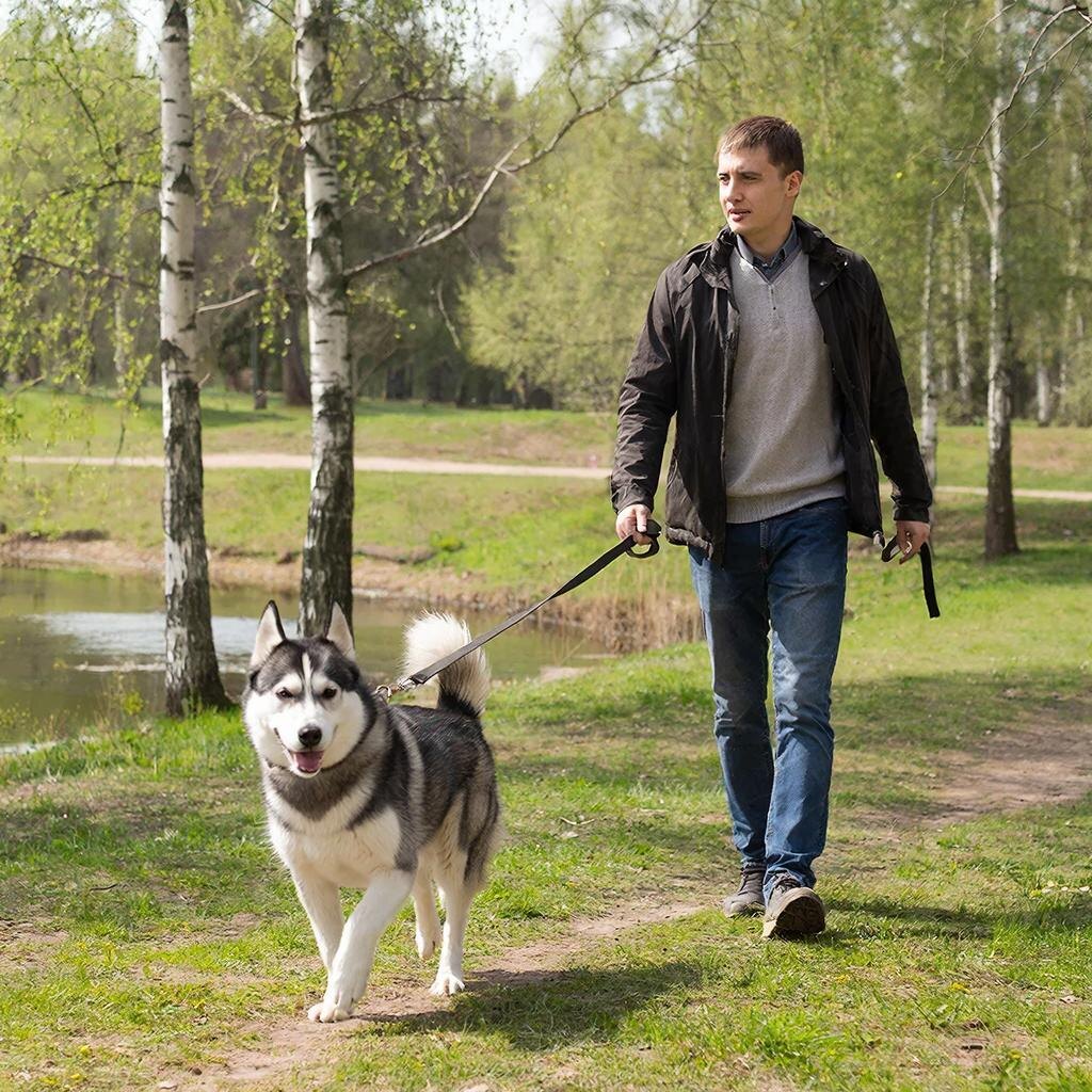 С радостью прогуляюсь!