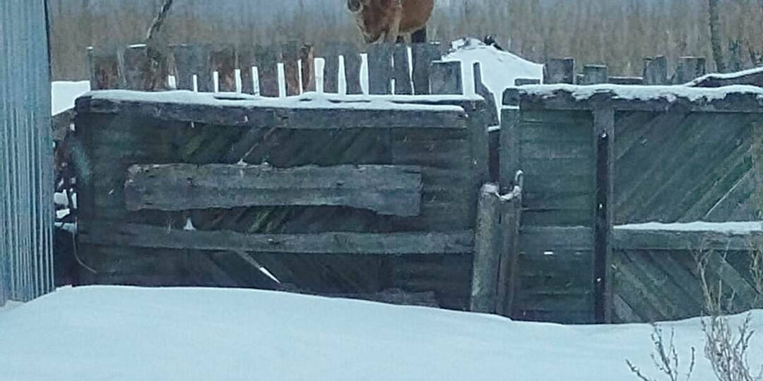 Лучше жить богато в деревне, чем бедно в Москве