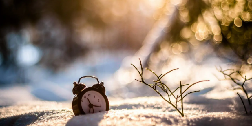 картинки Яндекс