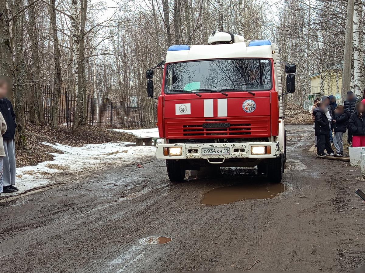    из архива редакции