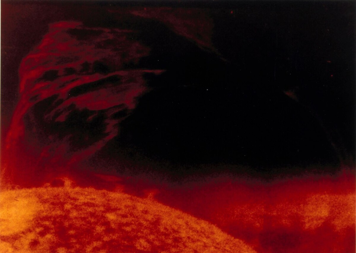     / Источник: © Global Look Press