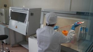    Фото: открытый источник