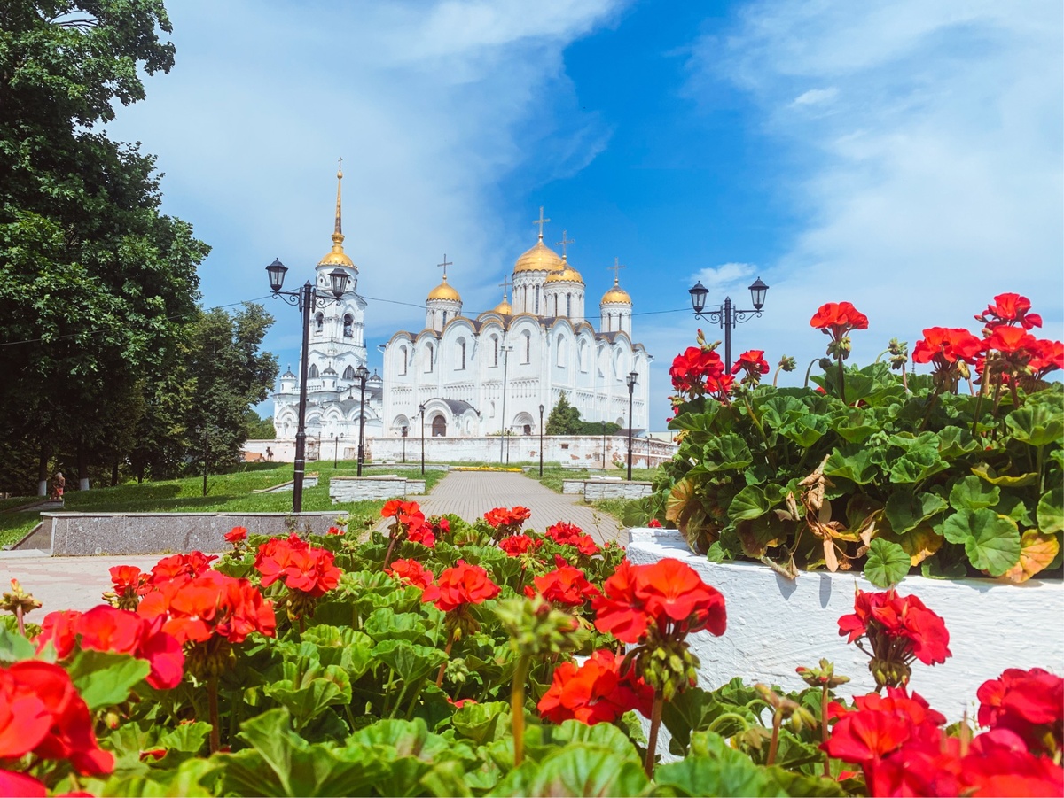Цветущий Владимир