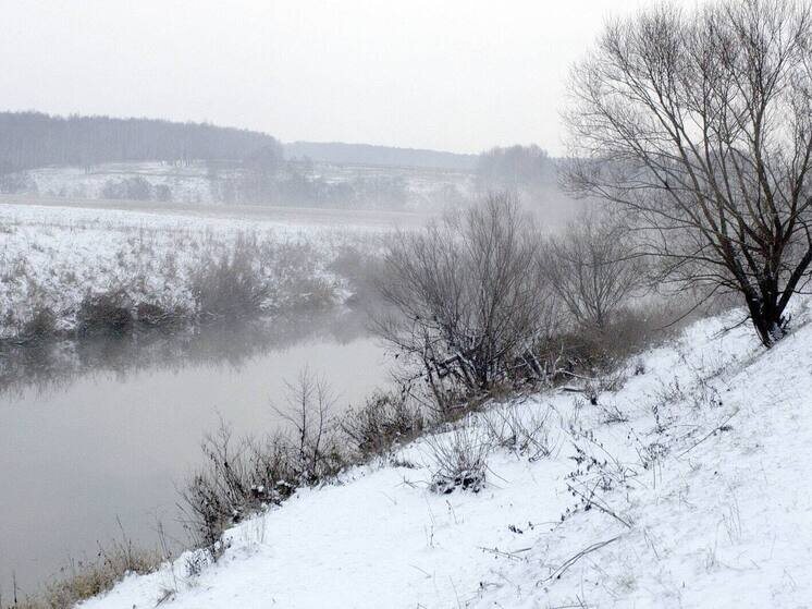   Александр Корнющенко