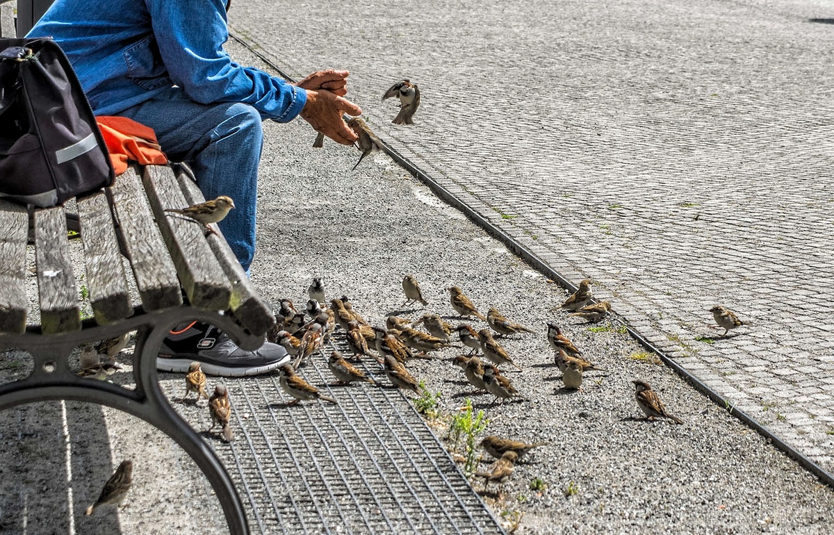 Давно ли вы наблюдали подобное? Фото из открытых источников.
