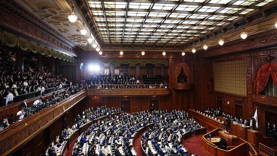    Фото: Global Look Press/Jia Haocheng