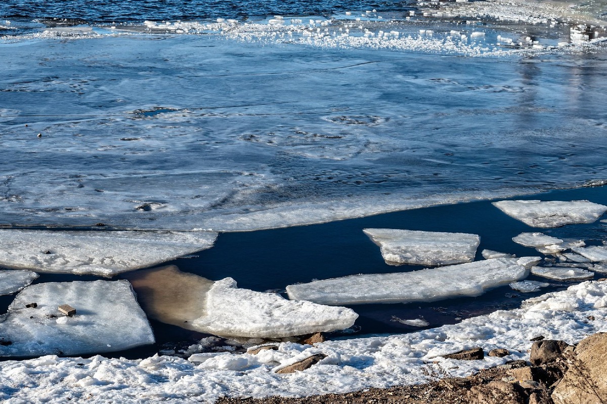    Фото: istockphoto/Andrey Nikitin