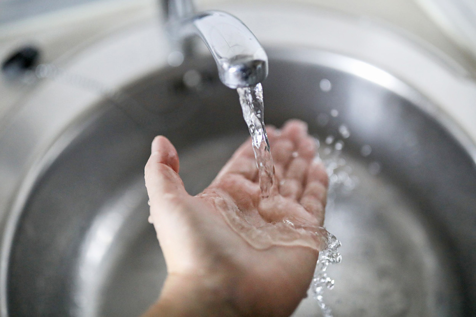    Александра Погиба/NEWS.ru