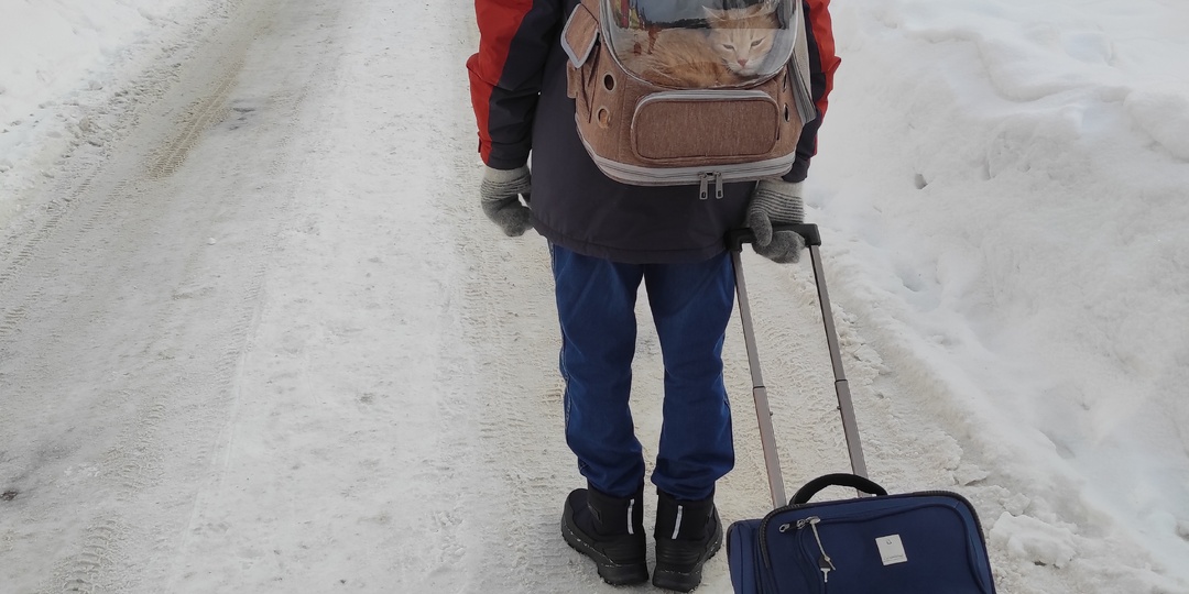 Маленькие проблемы большого дома или как мелочи портят отдых