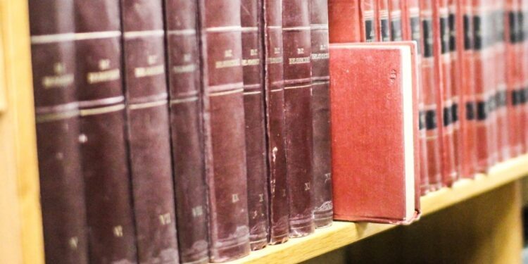    Илья Тушев / Вести Подмосковья